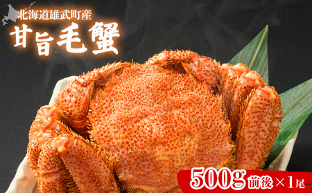 【北海道雄武町産】甘旨毛蟹 500g前後1尾【07182】