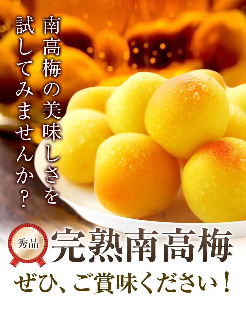 紀州南高梅 秀品(完熟) 2L 5kg 農業福祉研究機構《6月下旬-7月上旬頃出荷》