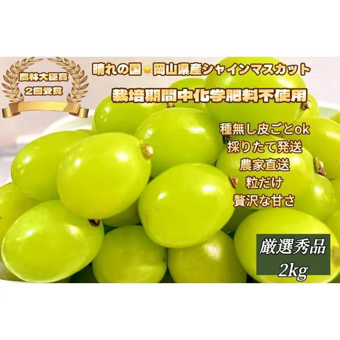 ぶどう 2026年  シャインマスカット 厳選 秀品 粒だけ 約2kg  家庭用  農林大臣賞2回受賞  岡山 果物 フルーツ  採りたて発送 農家直送 数量限定 新鮮 7月上旬から発送