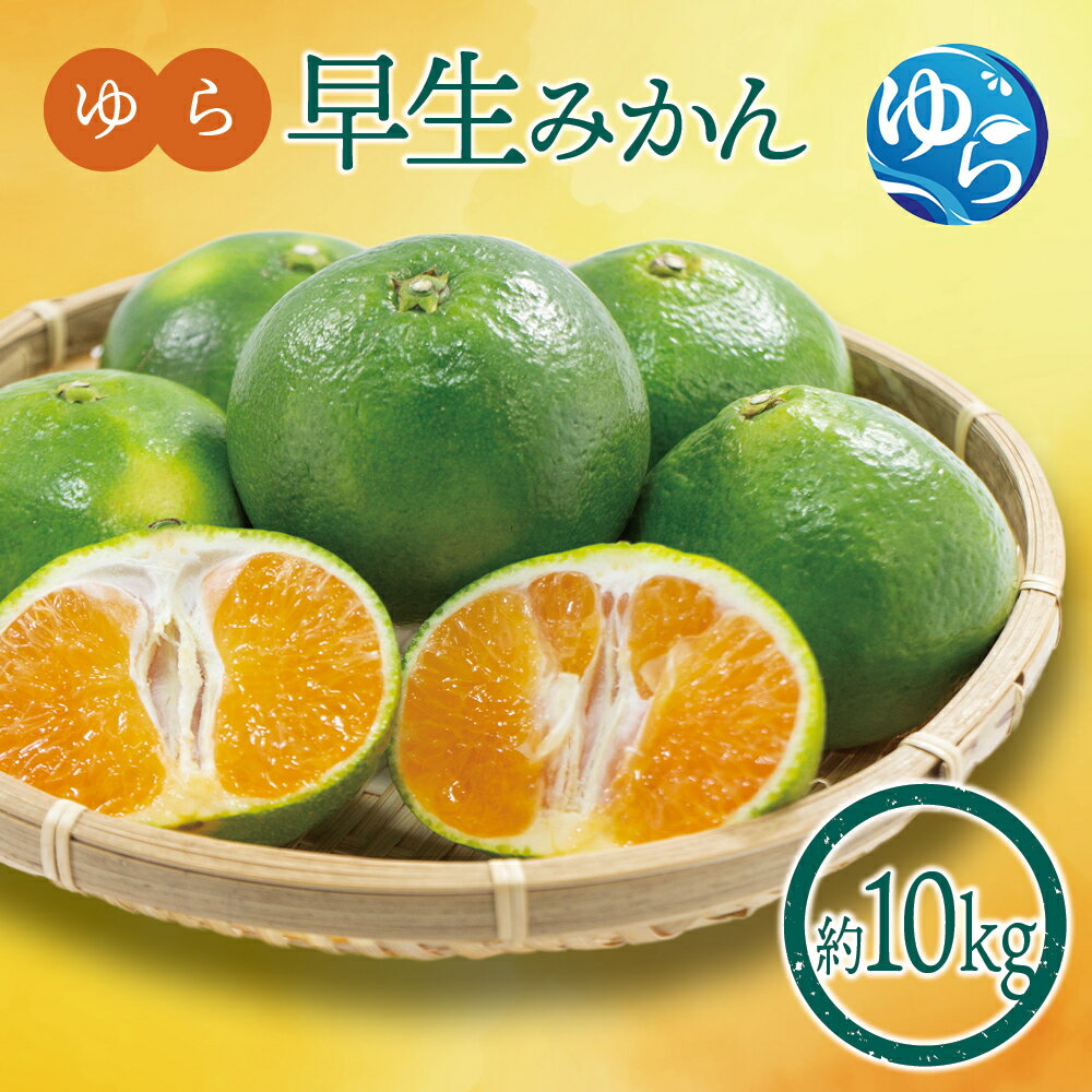 【ふるさと納税】和歌山県産 ゆら早生みかん 10kg【先行予約】※2025年10月初旬頃～順次発送予定(お届け日指定不可) / ゆらみかん 由良町 ミカン 柑橘 期間限定 和歌山 柑橘　フルーツ　ゆら早生 温州みかん 極早生 甘い 柑橘