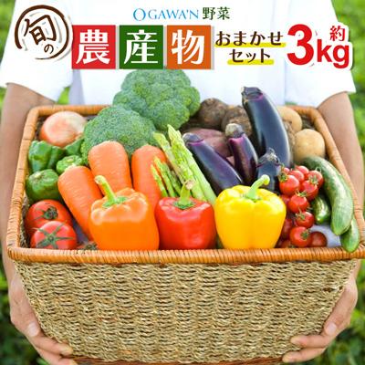 ふるさと納税 小川町 OGAWA'N野菜セット 旬の農産物おまかせセット 約3kg