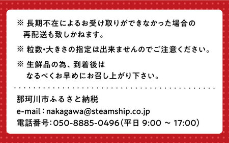 【2月以降順次発送】福岡県産あまおう いちご 約270g×4パック 約270g×4パック 那珂川市 いちご フルーツ くだもの 果物 あまおう 九州産 苺 国産 [GBR001]13000 13000