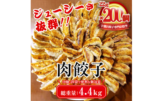冷凍餃子 餃子専門店 宇都宮 悟空 肉餃子 22g×200個入｜餃子 冷凍 ぎょうざ ギョーザ  大容量  肉たっぷり 肉多め 人気 名物 行列 国産野菜 国産豚肉 ジューシー スタミナ パリパリ もちもち グルメ おかず おつまみ  栃木県 簡単 小分け 冷凍食品