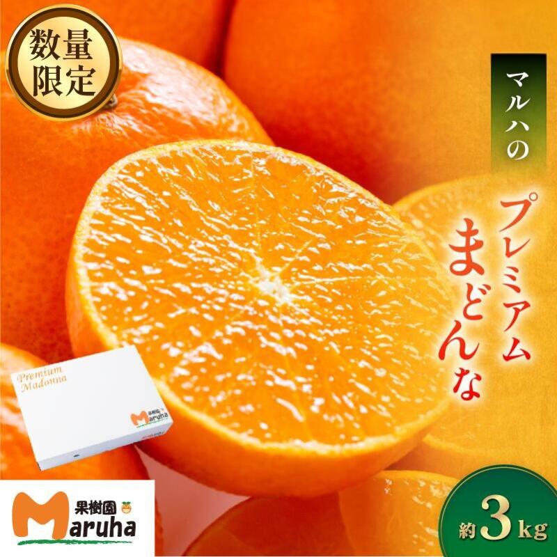 【ふるさと納税】【先行予約】マルハ果樹園 プレミアムまどんな 11月下旬頃から発送 12~15玉 先行予約 今治産 特選 まどんな マドンナ 化粧箱入 高級みかん 甘いみかん フルーツ 柑橘 果物 愛媛みかん 24000円 まどんなふるさと納税 ふるさと納税まどんな【K002290】