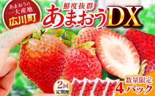 【2回定期便】博多あまおう 2ケース（270g×4P）　広川町 / JAふくおか八女農産物直売所どろや [AFAB079]