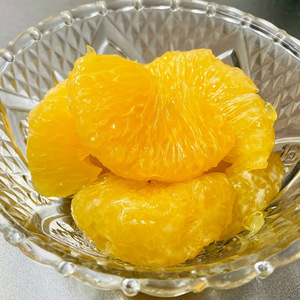 U6304_【2026年先行予約】甘夏 秀品 約9~10kg 和歌山県有田産