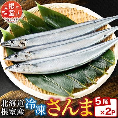 ふるさと納税 根室市 【北海道根室産】冷凍生さんま5尾×2P G-30001