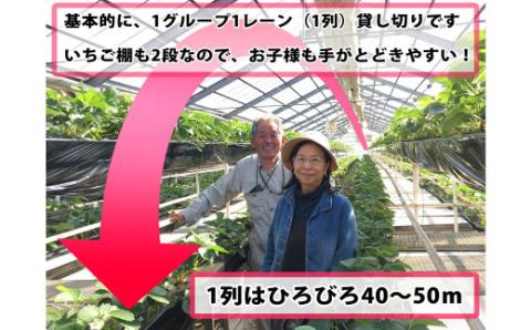 【1レーン貸切・最大60分食べ放題（土日祝・繁忙期は45分）】いちご狩り券 4名様（３才以上）愛知 体験 チケット くだもの狩り フルーツ狩り H175-009