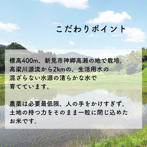 【令和7年産】新見庄米 コシヒカリ 白米 10kg （10kg×1袋）