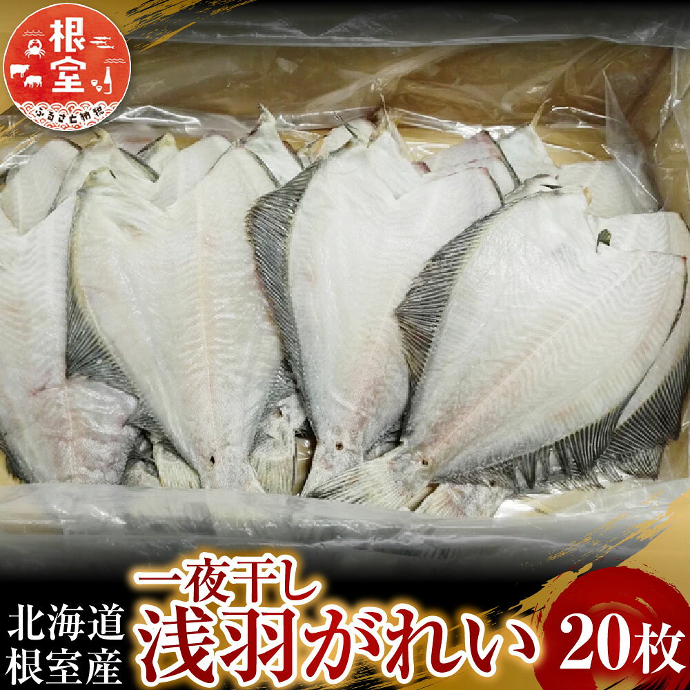 【ふるさと納税】 [北海道根室産] 一夜干し浅羽がれい 20 枚 カレイ 鰈 かれい さかな 魚 サカナ お取り寄せ グルメ 海鮮 一夜干 干物 焼き魚 北海道 根室市 ふるさと納税 A-11059