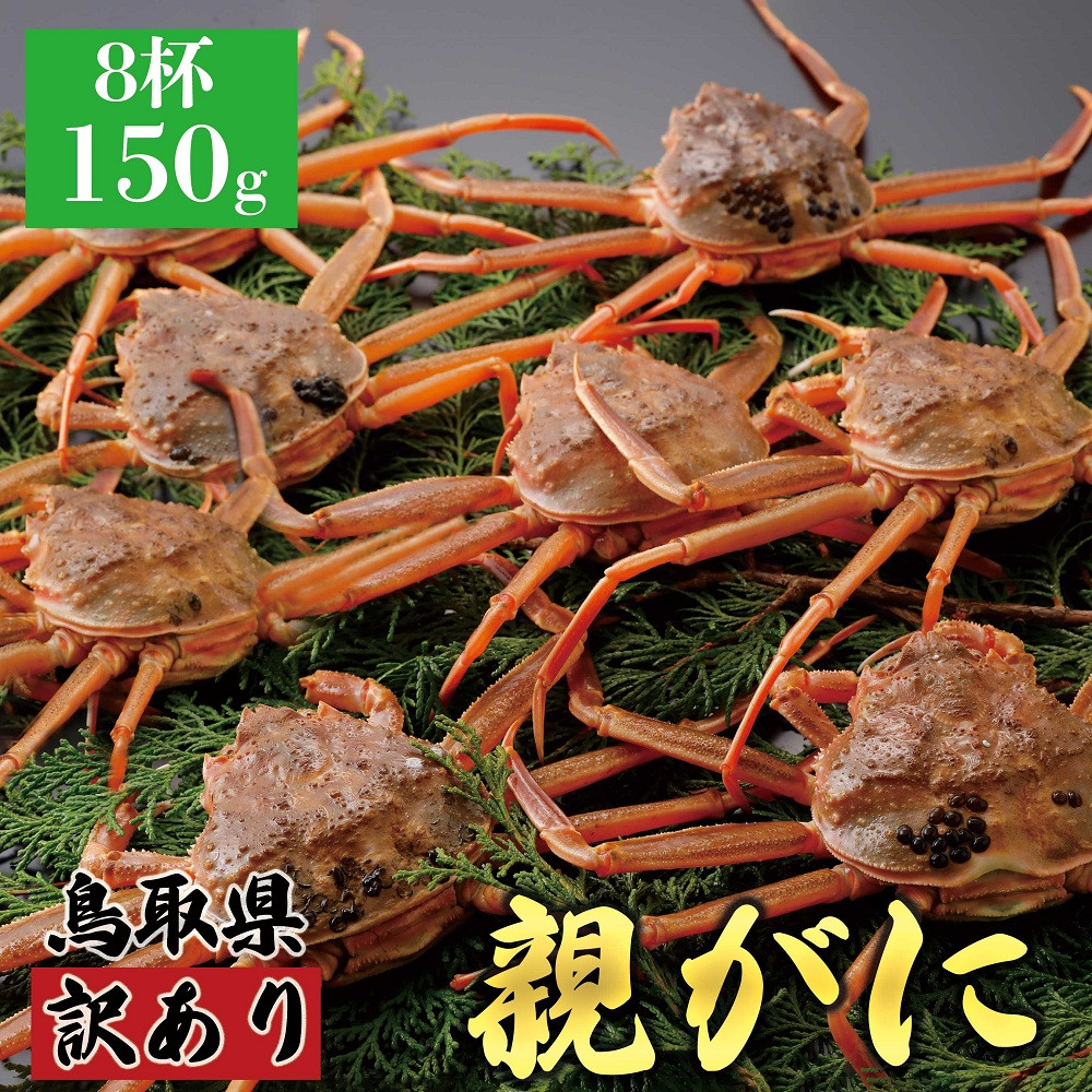 1069.【2025年12月発送】鳥取県産 特撰 親がに 姿【セコガニ】（なま）【訳あり】150g 8杯 313726_BS071