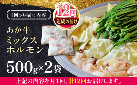 【全12回定期便】熊本和牛あか牛ホルモン 1kg 【有限会社 三協畜産】[YCG175]