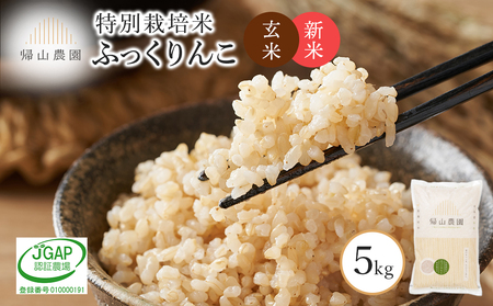 【令和7年産新米予約】 玄米 ふっくりんこ 5kg　特別栽培米産地直送《帰山農園》