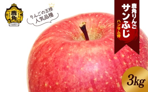 鹿角りんご 秀品「サンふじ」約 3kg ●2025年12月上旬発送開始【ハンサム侍】リンゴ 林檎 フルーツ グルメ ギフト 故郷 秋田 あきた 鹿角市 鹿角 送料無料