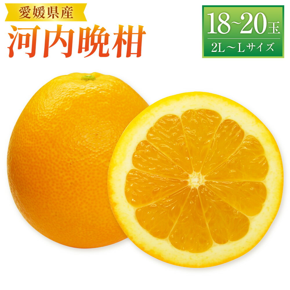 【ふるさと納税】河内晩柑 宇和ゴールド 2L～Lサイズ 18～20玉前後 みかん ミカン 蜜柑 柑橘 フルーツ 果物 果物 くだもの 宇和 お取り寄せ デザート おやつ 常温 送料無料 【2026年4月上旬～2026年5月上旬発送予定】(522-1)
