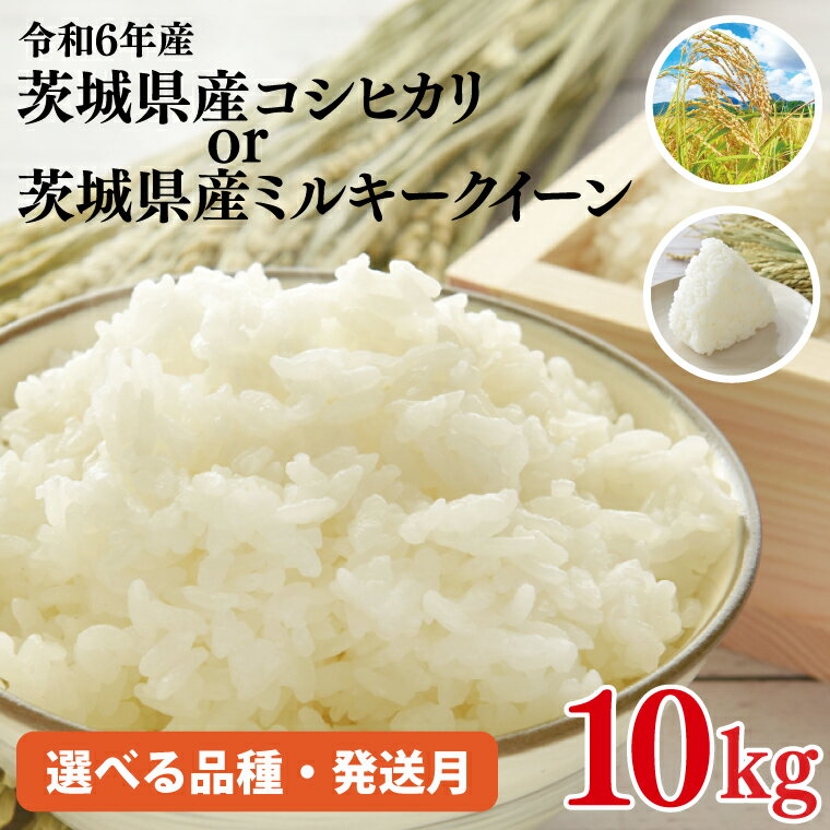 【ふるさと納税】【品種・発送月が選べる】★数量限定★令和6年茨城県産 コシヒカリorミルキークイーン｜米 お米 こめ ミルキークイーン 数量限定 期間限定 令和6年産 茨城県産 行方市 人気 送料無料