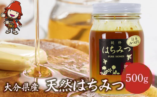 天然はちみつ 500g | 国産 日本 蜂蜜 非加熱 はちみつ ハチミツ 百花蜂蜜 大分県産 九州産 中津市