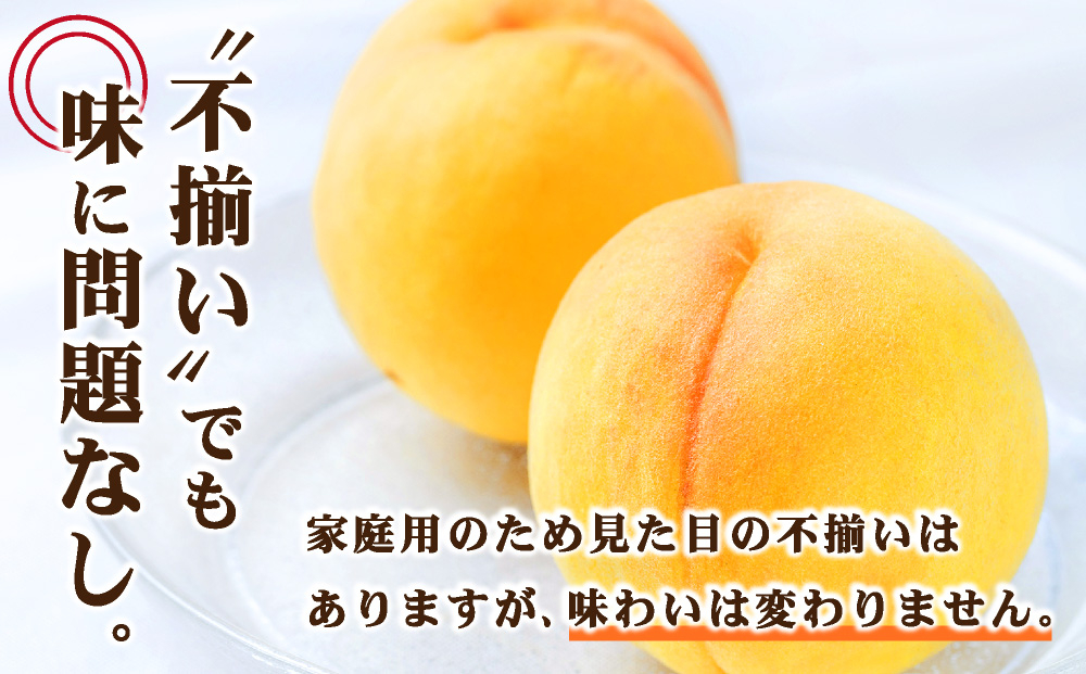 【先行予約】2026年9月発送【家庭用】岡山県産 黄金桃 4kg 4kg