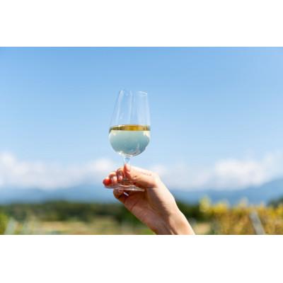 ふるさと納税 北杜市 Passerelle Blanc(パスレル ブラン) 2024 |  | 01