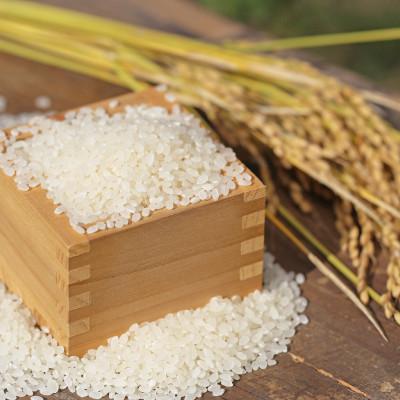 ふるさと納税 小野町 令和7年小野町産ひとめぼれ5kg　精米 |  | 01