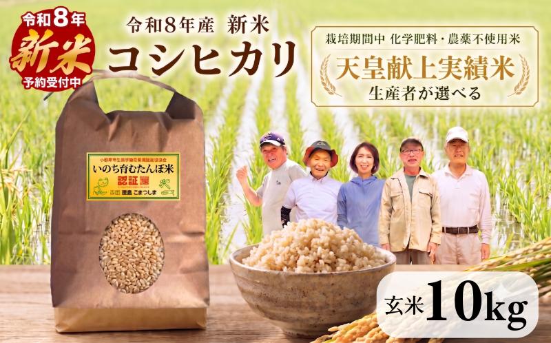 
                  【2026年9月中旬より順次発送】令和8年産 新米 コシヒカリ 10kg（玄米） 選べる 天皇献上米 (栽培期間中）化学肥料・農薬不使用米 こめ ご飯 備蓄米 ごはん 環境 に優しい 小松島 上王子特質米 10kg
                