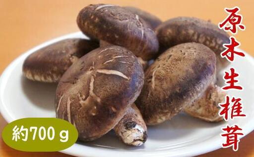 原木生しいたけ約700g 和歌山有田産 ★2026年11月下旬頃より順次発送