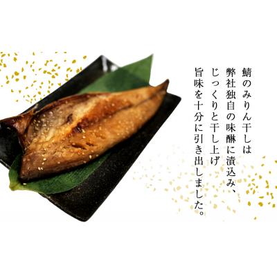 ふるさと納税 石巻市 鯖 みりん干し 12枚(2枚×6) 冷凍 小分け 個包装 おかず 魚 焼き魚 焼魚 干物 宮城県 |  | 02