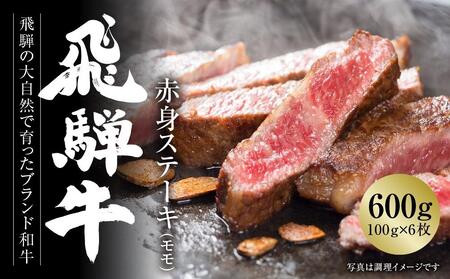 飛騨牛 赤身ステーキ 600g（100g×6枚） 冷凍真空パック | 肉 お肉 ステーキ 和牛 人気 【飛騨高山ミート MZ018】〔飛騨牛国産　飛騨牛和牛　飛騨牛ブランド　飛騨牛黒毛和牛〕