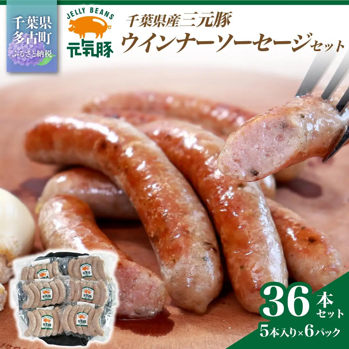 【千葉県多古町産】元気豚 ウインナーソーセージセット(36本入り)【配送不可地域：離島・沖縄県】 TAKB070