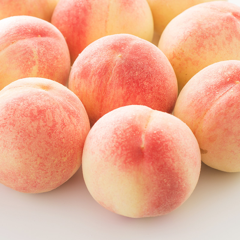 【定期便3回】やまがた旬果実の定期便【令和8年産先行予約】FS25-092