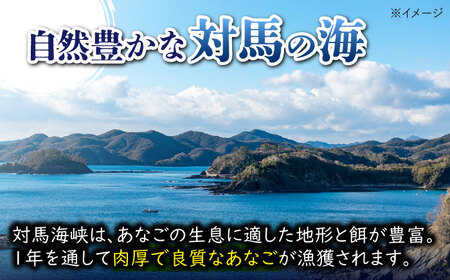【1週間以内発送】対馬 煮あなご 膳 セット あなご 穴子 [WAC015] スピード発送 最速発送 最短発送
