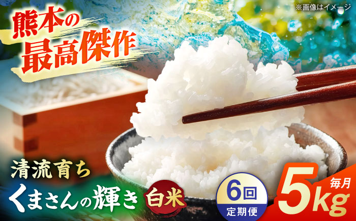 【先行予約】【6回定期便】くまさんの輝き 白米  5kg 山鹿市産 【奥村果実園】 [ZFK020]