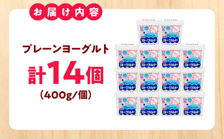 プレーンヨーグルト14個セット 木次乳業 砂糖不使用[AIBH034] ヨーグルト