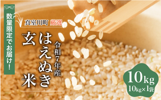 ★数量限定★ ＜令和7年産 はえぬき＞【玄米】 10kg （10kg×1袋）＜配送時期指定可＞　真室川町