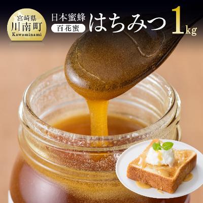 ふるさと納税 川南町 日本みつばちで採蜜した純粋はちみつ(百花蜜)1kg