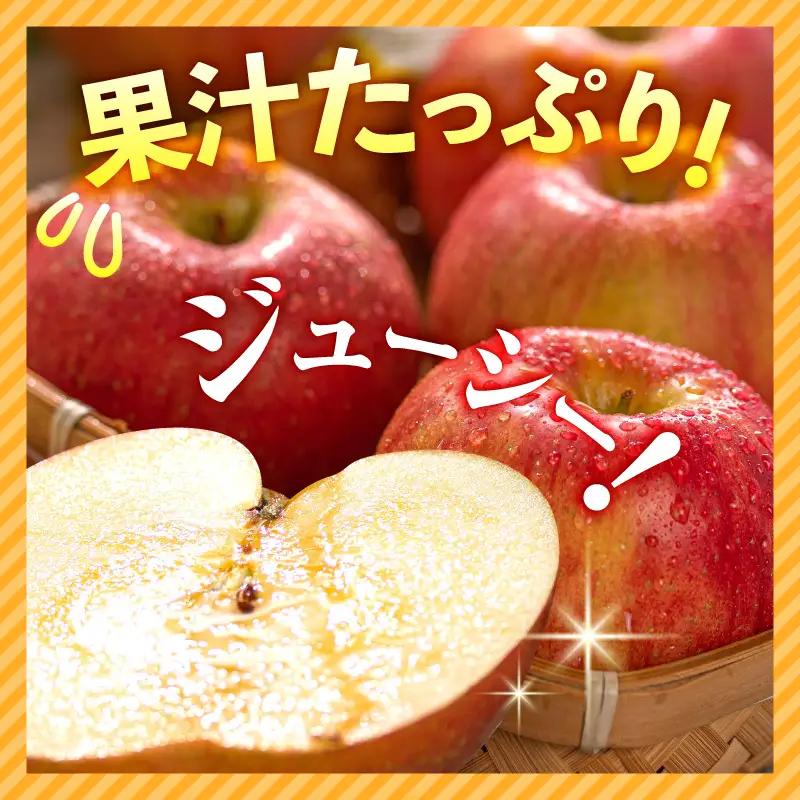 【2027年2月上旬発送】《訳あり》 りんご 約10kg サンふじ 青森産 りんご