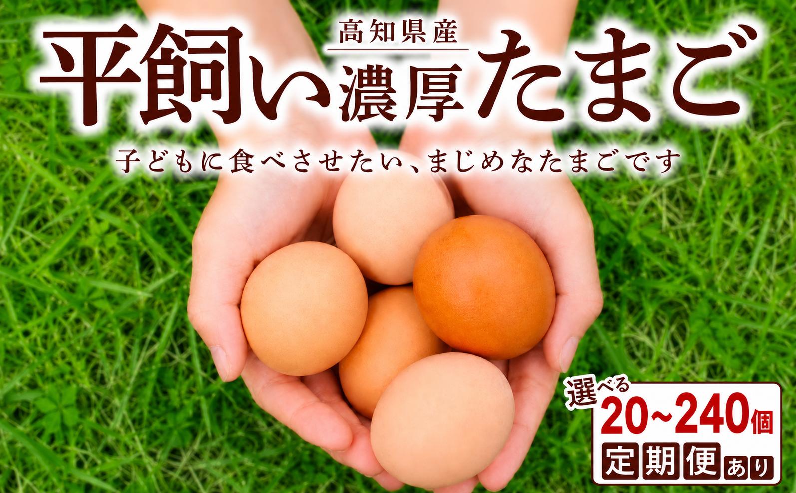 
                  定期便 卵 選べる たまご 最大 240個 12か月 平飼い 濃厚 Sサイズ  たまごセット 放し飼い 卵定期便  卵料理 卵焼き 玉子 タマゴ 卵かけご飯 新鮮 ゆで卵 オムレツ TKG 鶏 鶏卵 コク ごはんのとも 日用品 消耗品 生卵 贈答 ギフト 贈答品 冷蔵 朝食 朝 簡単調理  宿毛市 高知県
                