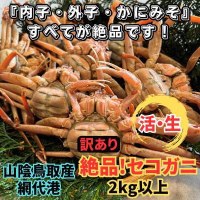 ふるさと納税 智頭町 【さかなや新鮮組】鳥取県産 訳あり 活 絶品セコガニ2.0kgセット ご家庭用 漁港直送