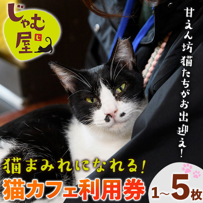 【ふるさと納税】≪枚数選べる≫猫まみれになれる猫カフェチケット(1～5枚) チケット 猫 カフェ 体験 ネコ ねこ 保護猫 動物 カフェ利用チケット 保護猫カフェ 利用券 利用優待券 触れ合い ふれあい 体験型 動物カフェ 癒し 写真撮影 猫好き【じゃむ屋】