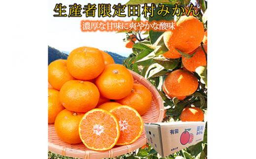 高級ブランド田村みかん １０kg◇ ※2025年11月下旬〜2026年1月下旬頃に順次発送予定 ふるさと納税 ミカン