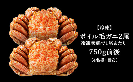 ＜ボイル済み急速冷凍＞身がぎっしりと詰まった毛ガニ750g前後×2尾