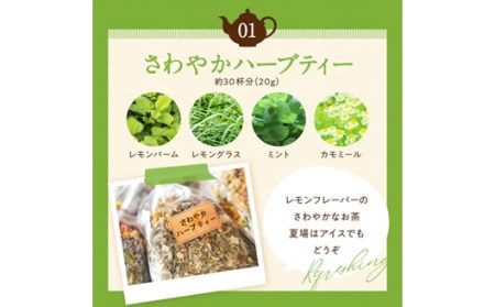 ハーブ農園のナチュラルハーブティーセット 3種 ハーブティー ハーブ農園 農薬不使用 紅茶 オーガニック 飲み比べ アソート 詰め合わせ セット 安眠 睡眠 ギフト 贈答用 あっぷるみんと 熊本 阿蘇