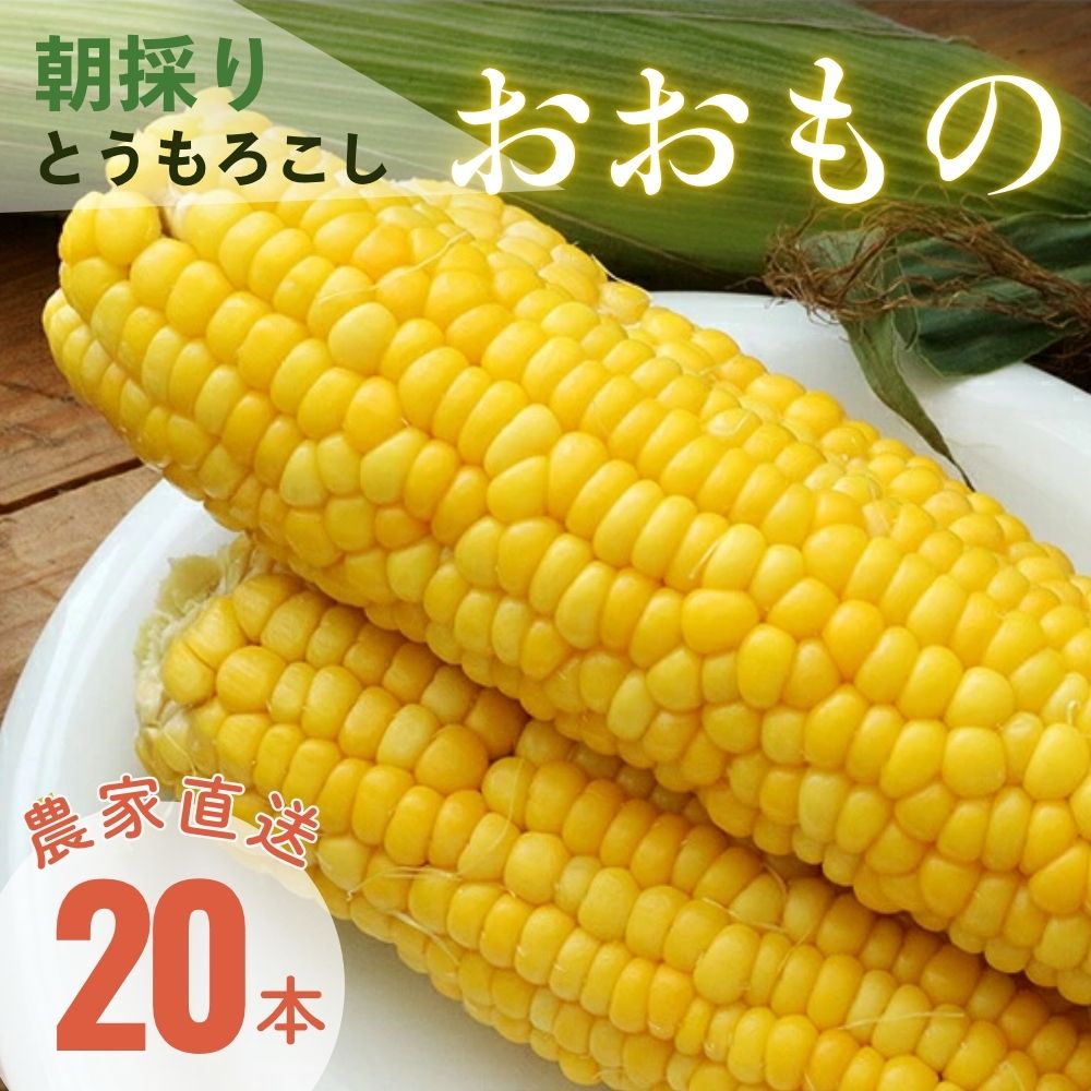 【ふるさと納税】【2026年8月下旬発送予定】先行予約 北海道 厚真産とうもろこし おおもの《厚真町》【(株)厚真ファーム】旬の野菜 夏野菜 大粒 高糖度 甘い トウモロコシ トウキビ 唐黍 コーン [AXAE001] 15000 15000円