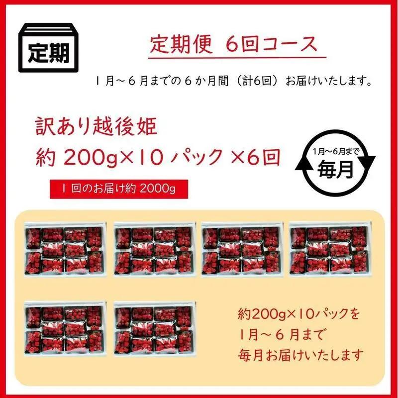 【先行予約・定期便6回】訳あり 越後姫 いちご 200g×10 越後姫  (1~6月発送)