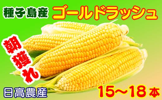 【 先行予約 】 種子島 産 朝どれ とうもろこし (15～18本)　NFN319【375pt】 ゴールドラッシュ トウモロコシ 人気 期間限定 朝獲れ 新鮮 数量限定 甘み 柔らかい ジューシー 冷蔵便