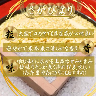 ふるさと納税 吉野ヶ里町 令和7年産　特A『さがびより』玄米10kg・白米10kg(計20kg)(吉野ヶ里町) |  | 01