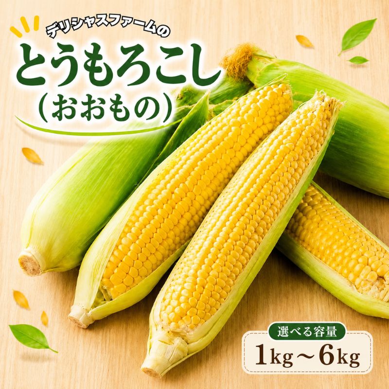 【ふるさと納税】とうもろこし【おおもの】【選べる容量】1kg 3kg 6kg / とうもろこし 野菜 産地直送 農家直送