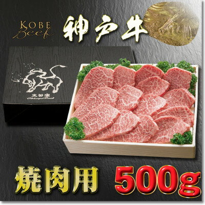 【ふるさと納税】神戸牛 焼き肉用 かた・もも 500g YBY2【配送不可地域：離島】【1681973】
