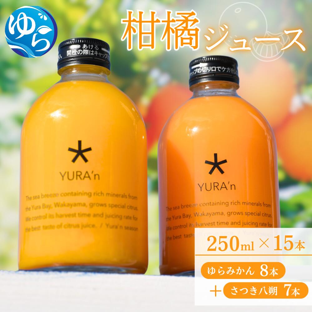 【ふるさと納税】 柑橘 ジュース （ ゆらみかん さつき八朔 ） / ジュースセット ドリンク オレンジジュース 和歌山 由良町 数見農園 飲料 果実飲料 果汁100％ 250ml×15本 //kakou //meisan