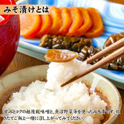 ふるさと納税 南魚沼市 新潟県 南魚沼産 こだわり厳選 味噌 & みそ漬け お試し 食べ比べ 木津醸造所 セット |  | 02